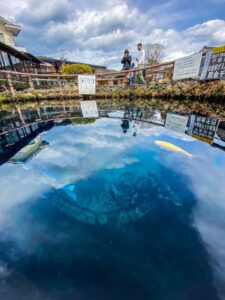 1649057375939 600x800 1