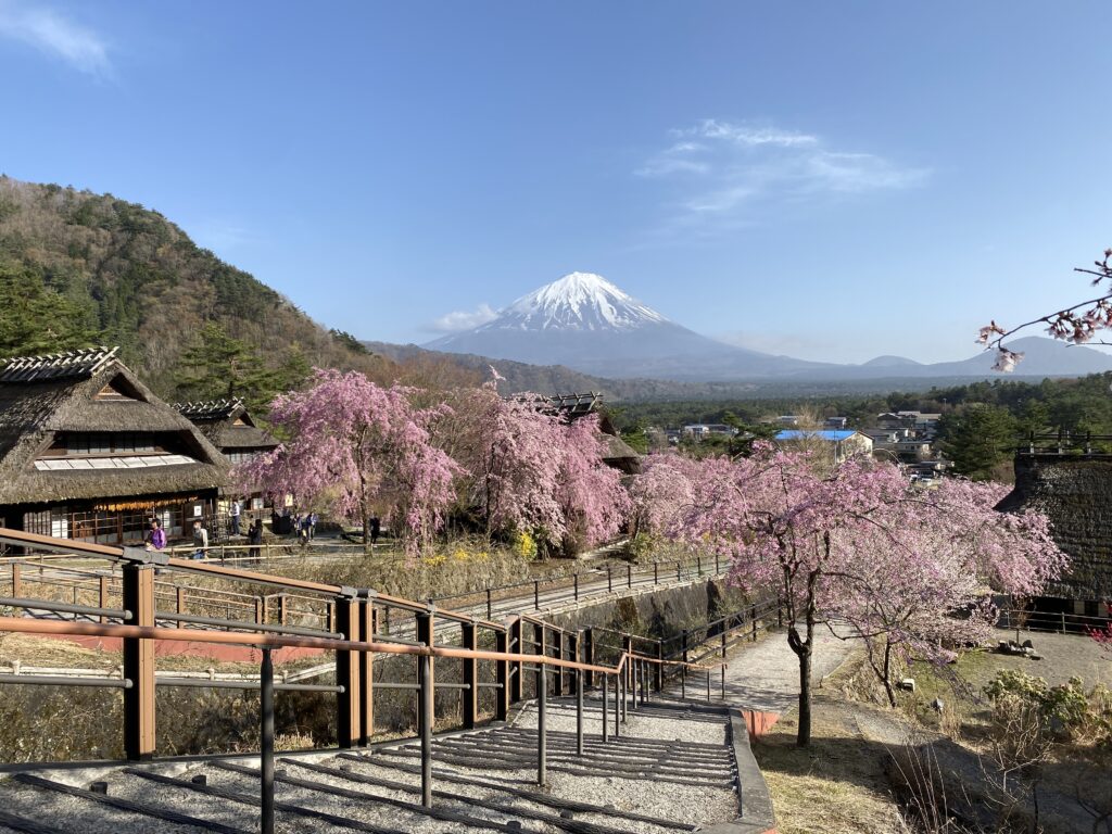 5EEE3C4A A035 49E2 80BE 0F391AF10E4F