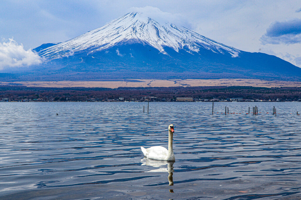 Mt fuji image