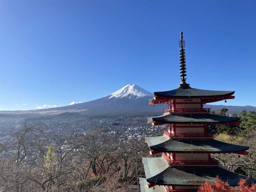 写真 R4 11 25 8 36 33