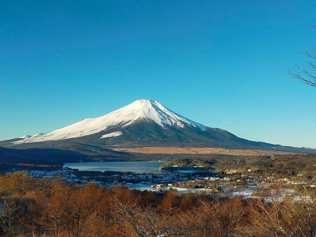 写真 R5 12 23 15 23 16