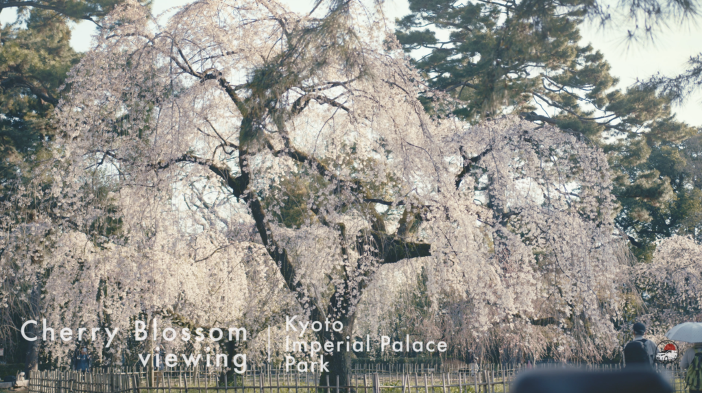 スクリーンショット 2024 04 05 16.13.17