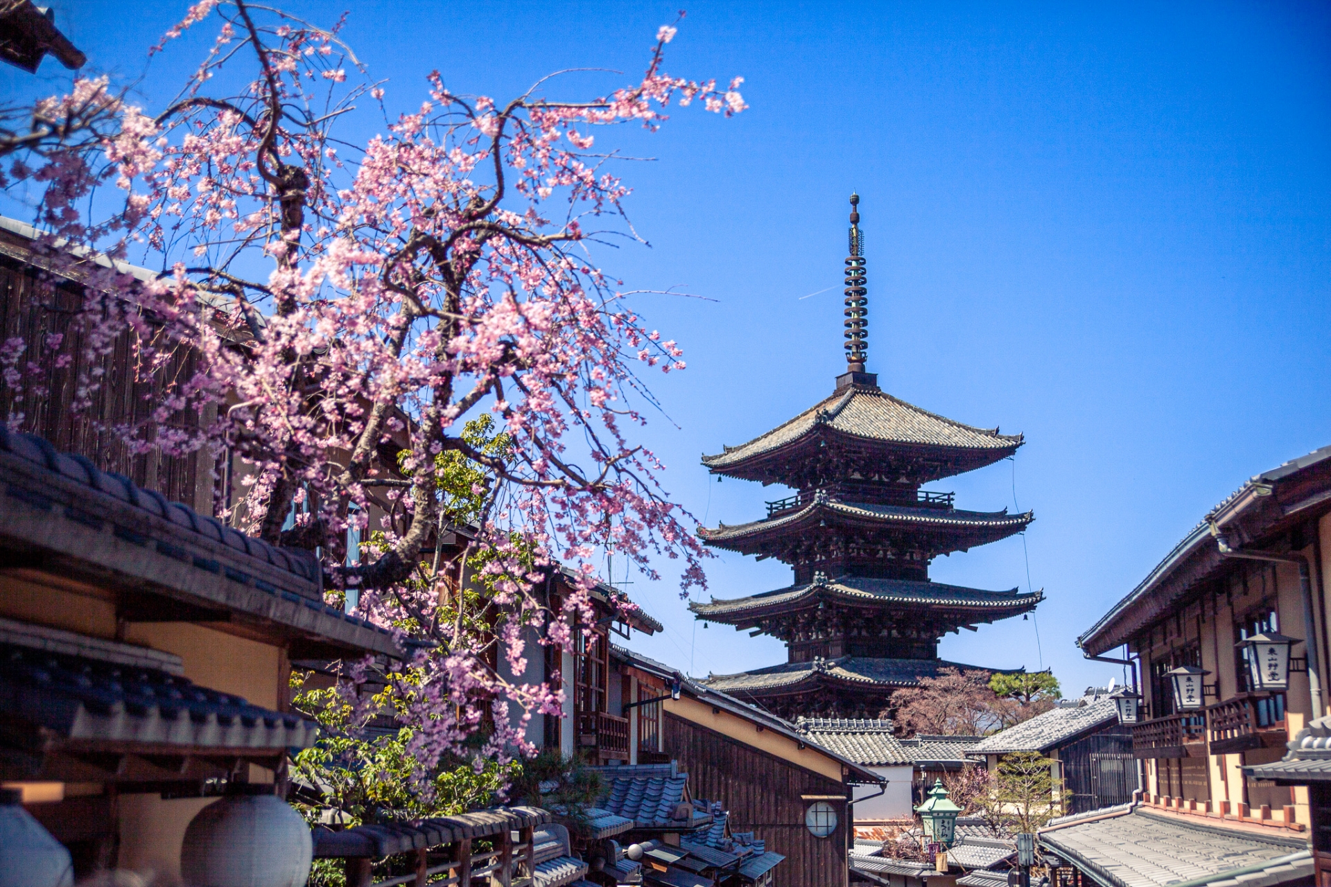 Popular Day-Tour Destinations, Kyoto 