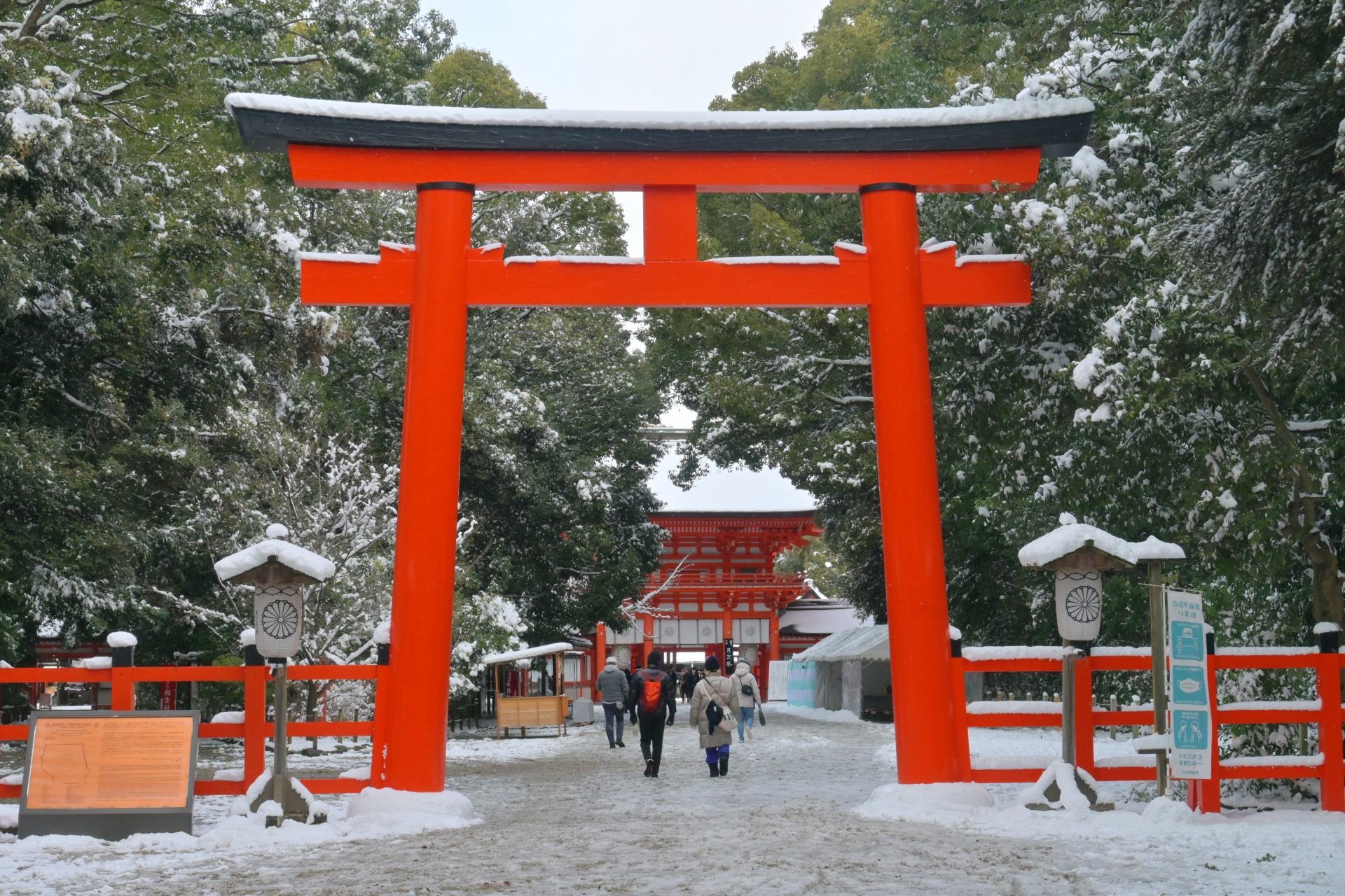 Perfect time to visit Japan