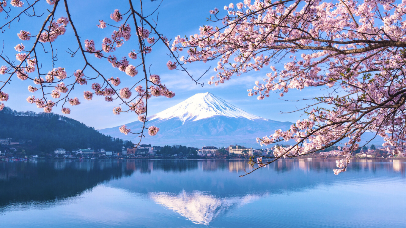 Magical Mount Fuji Cherry Blossoms 2026: Best Viewing Spots & Bloom Dates in April 9 Untitled design 4
