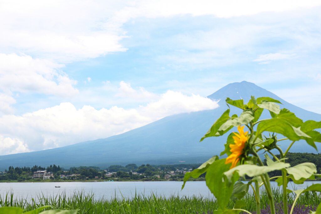 Mt. Fuji summer tour