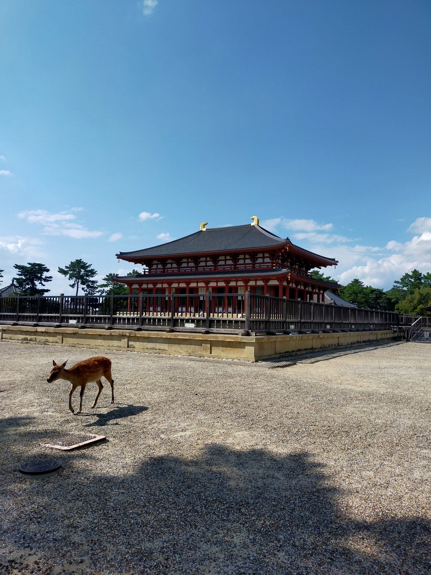 Nara Summer Tour Itinerary: Discover the Ultimate 10-Hour Escape with Temples, Deer & Scenic Strolls 3 23982 1