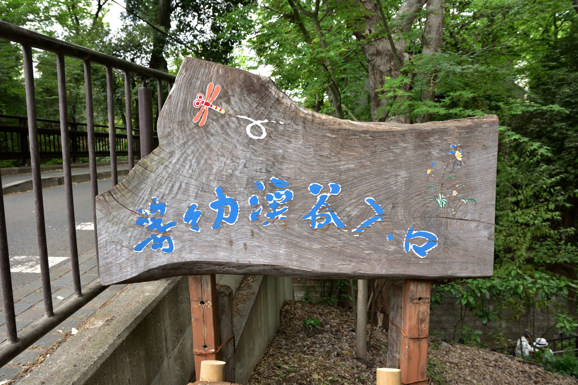 Cool & Scenic Day Trips from Tokyo: 5 Escapes to Beat the Summer Heat 3 24184 1