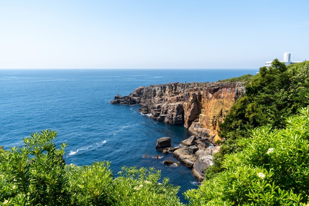 Day Trips from Osaka and Kyoto