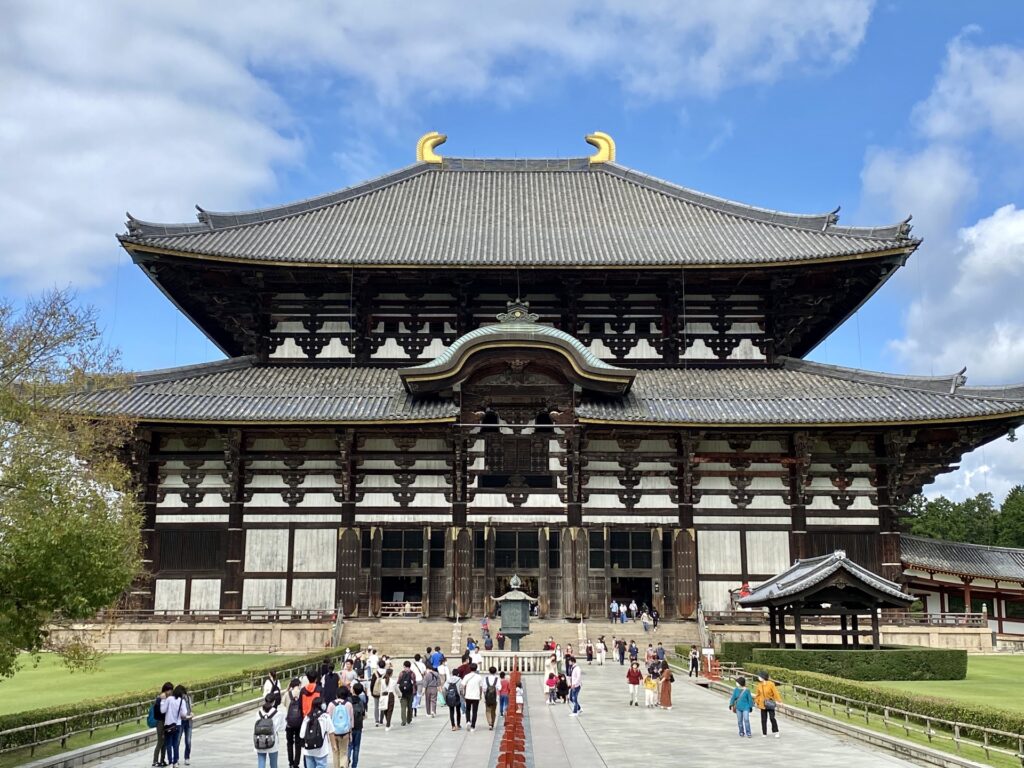 Nara Summer Tour