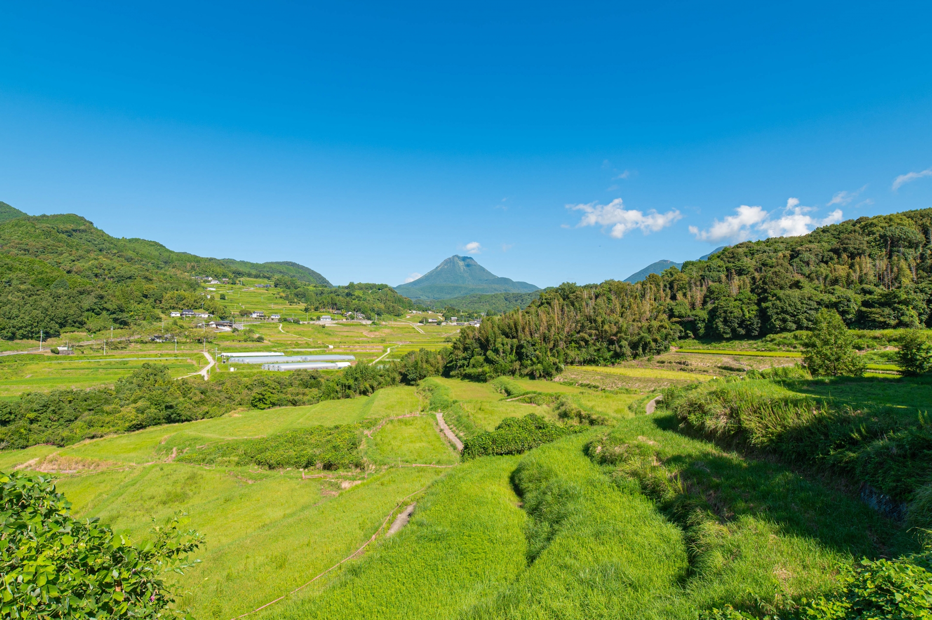 Late Summer in Japan: 7 Unforgettable Scenic Day Trips Before Autumn Arrives 3 24666 1
