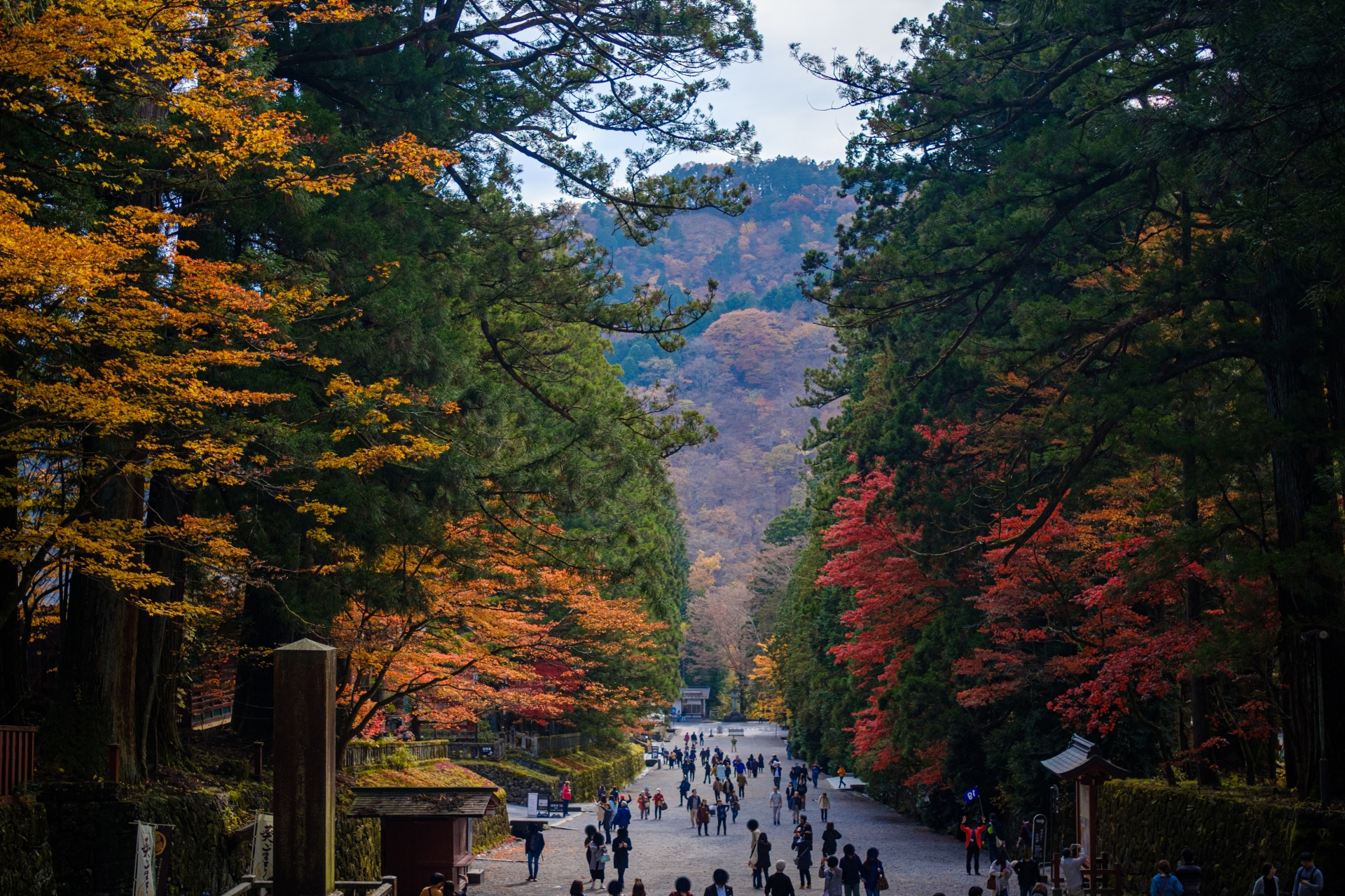 First Autumn Leaves