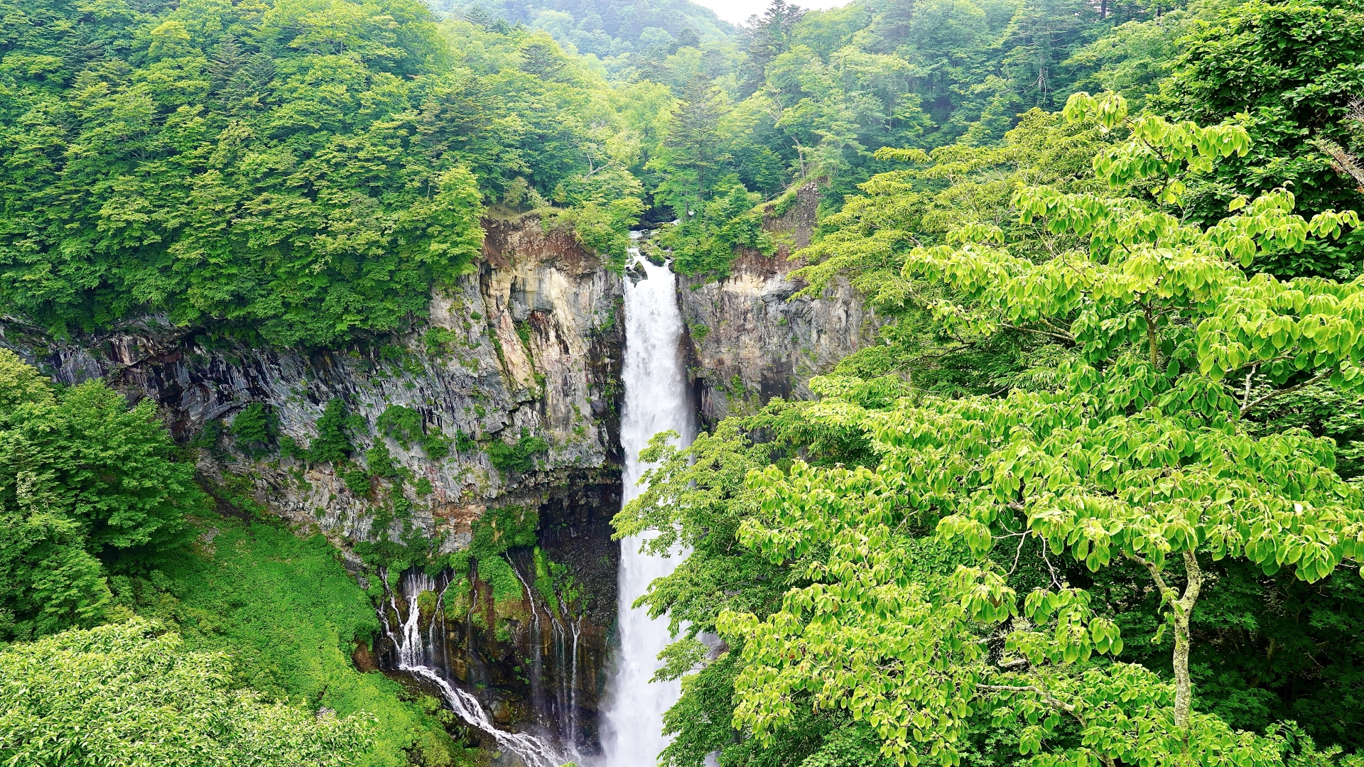 Late Summer in Japan: 7 Unforgettable Scenic Day Trips Before Autumn Arrives 2 32770542 m