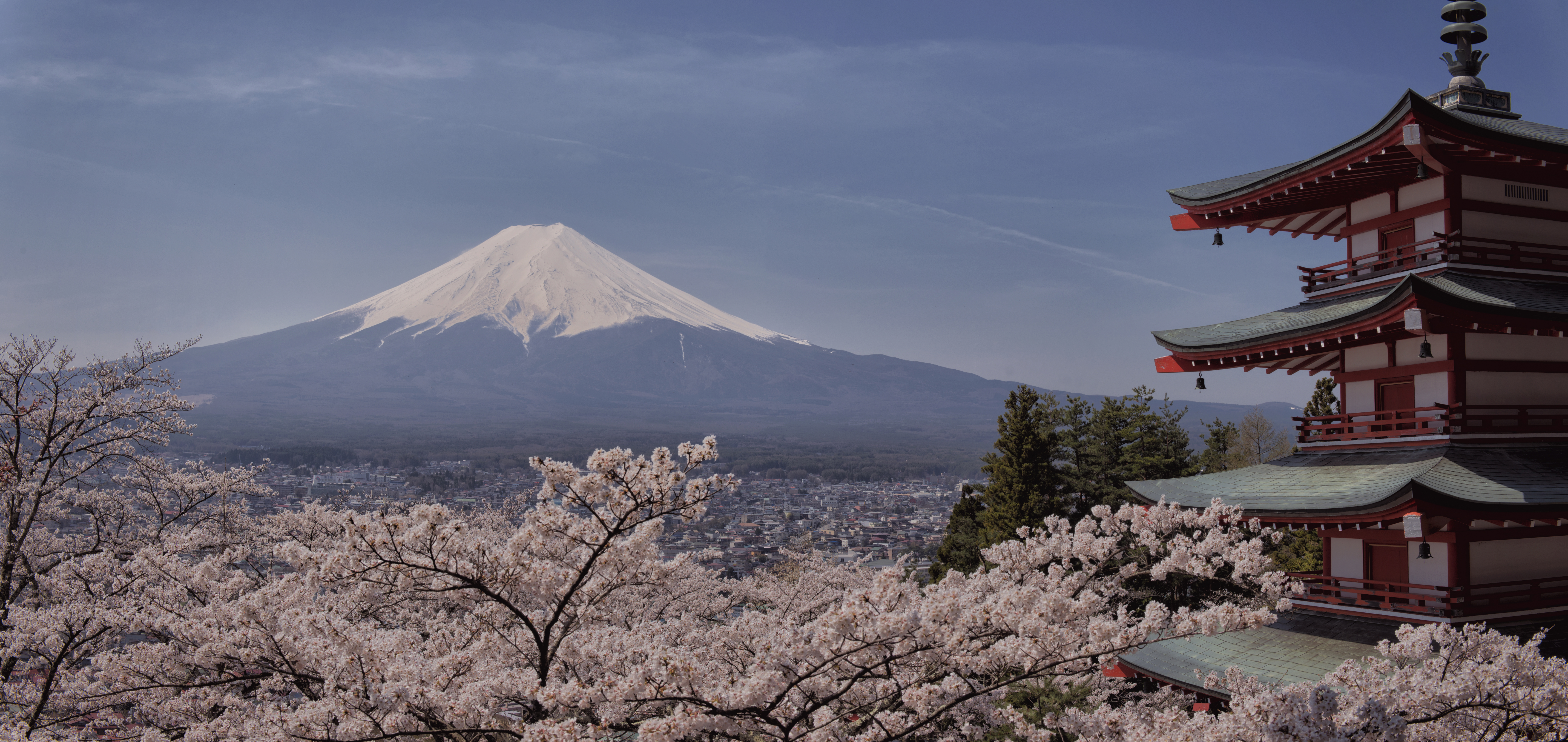 Mt. Fuji in July with summer greenery