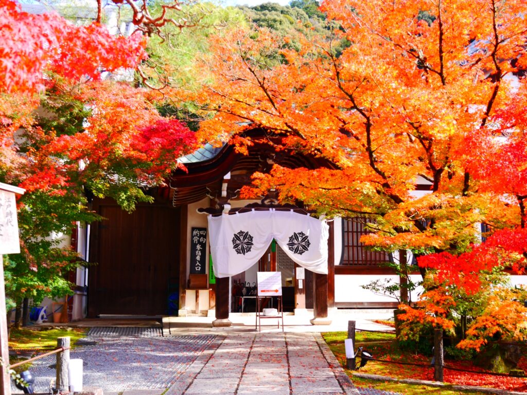 Kyoto Autumn Tour