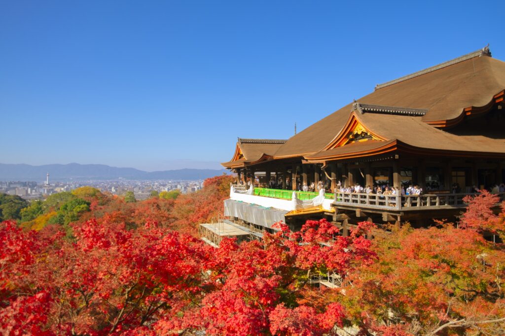 Kyoto Autumn Tour