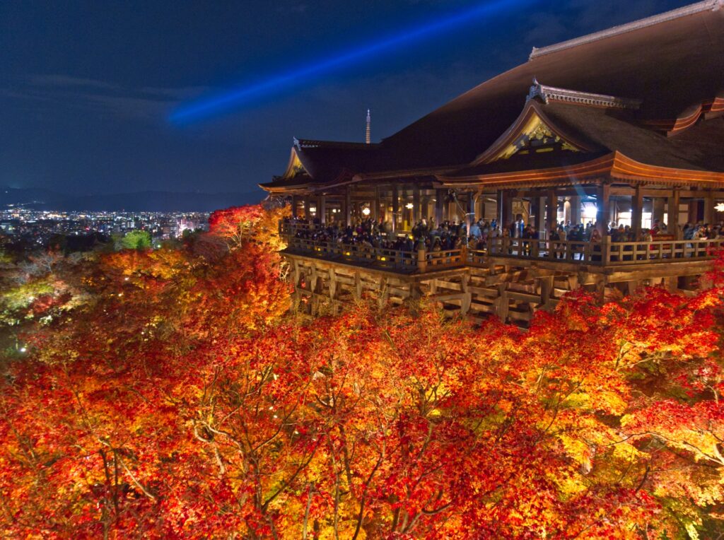 Autumn Lights in Japan