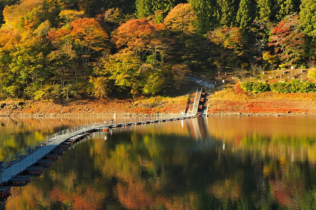Autumn Towns near Tokyo