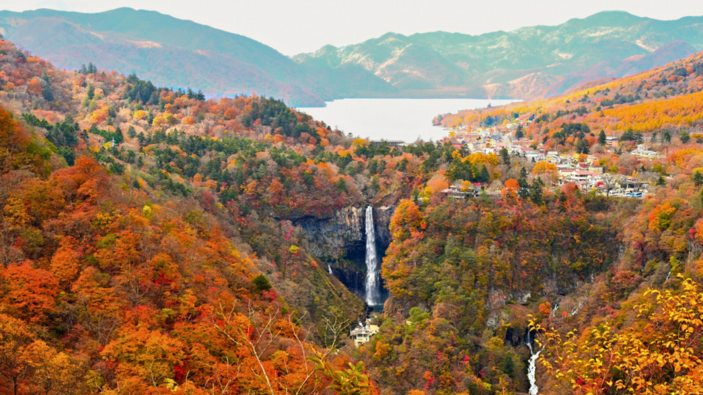 Autumn Road Trips in Japan