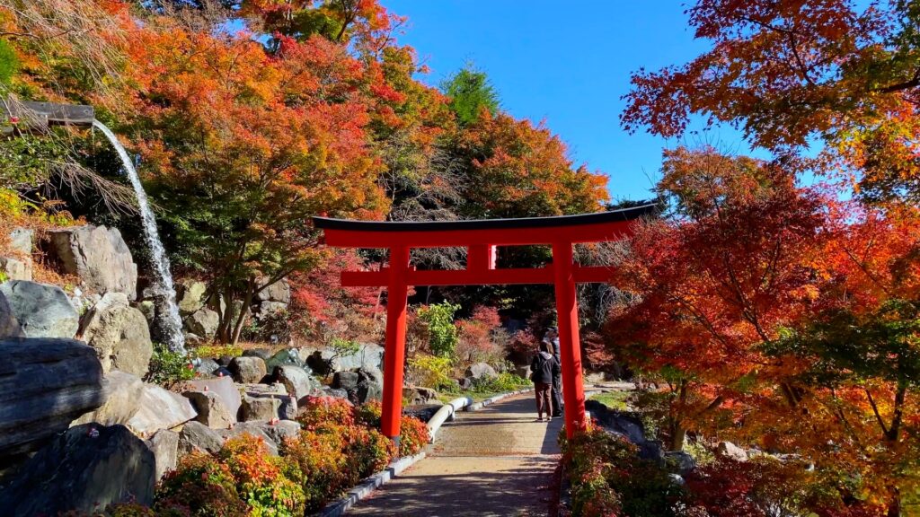 Autumn walks in Japan