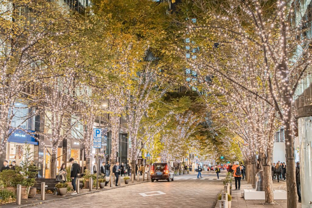 Tokyo in Early Winter