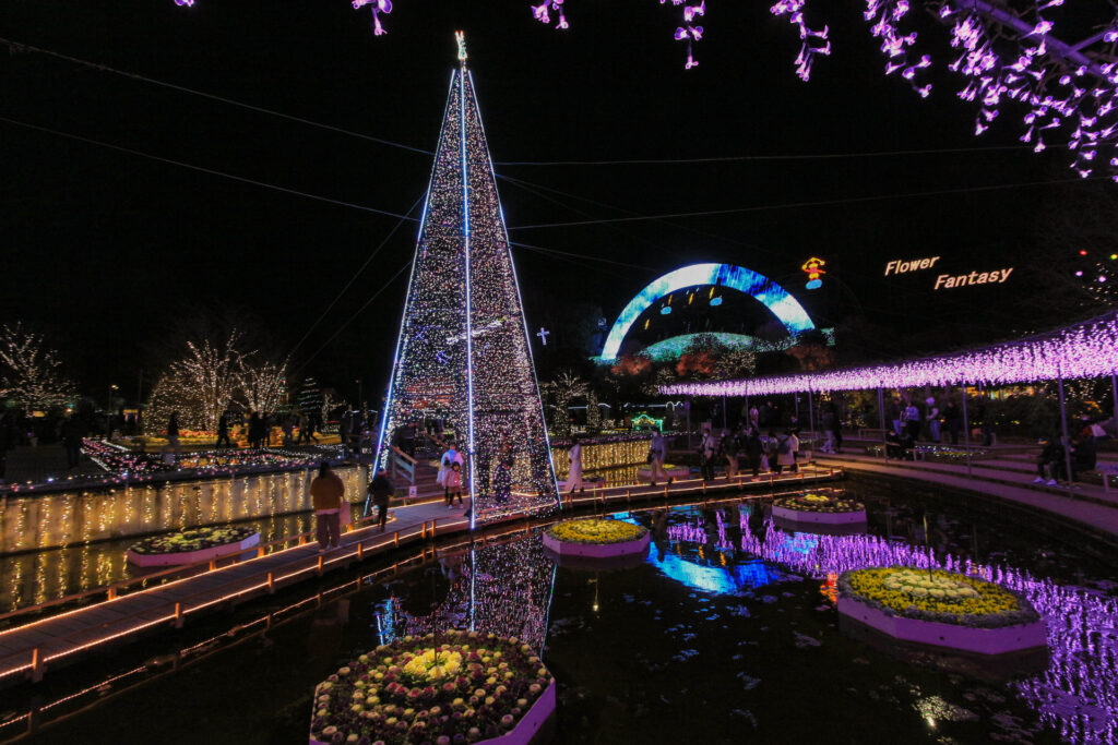 Winter Lights in Kanto