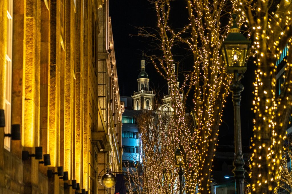 Winter Lights in Kansai