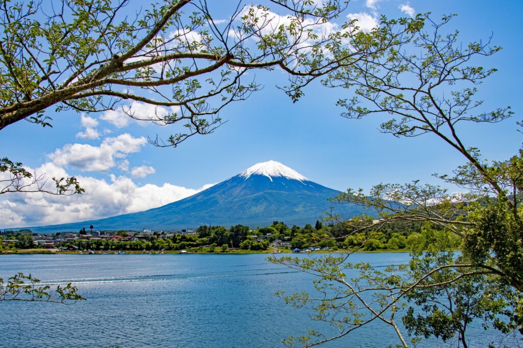 Spring Day Trips from Tokyo