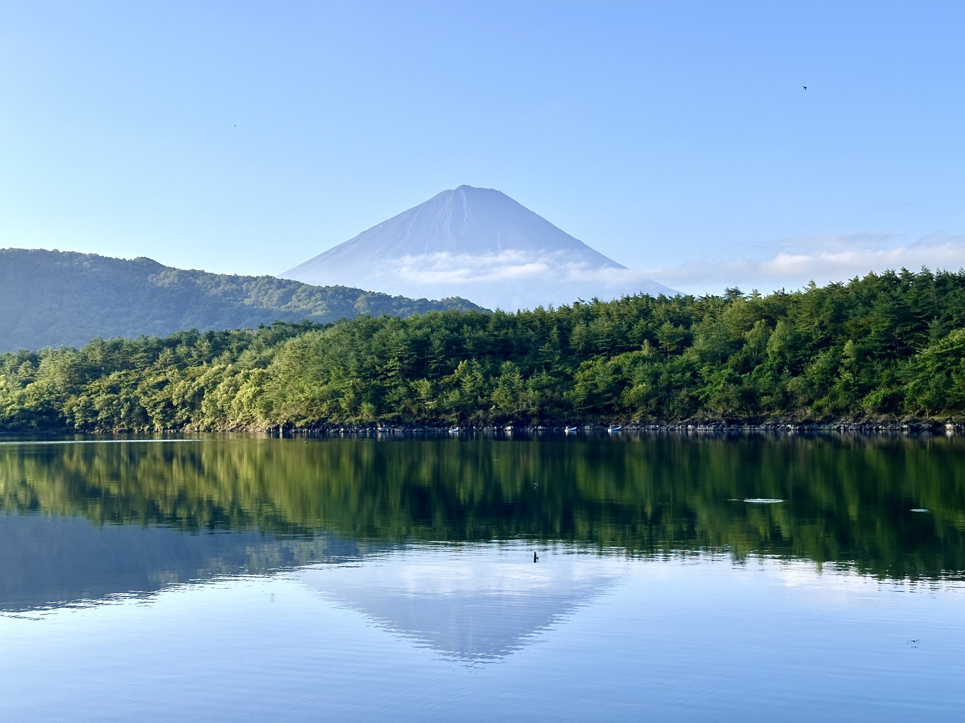 Fuji Five Lakes: 5 Beautiful Scenic Drives for an Unforgettable Summer Adventure 6 33176171 m