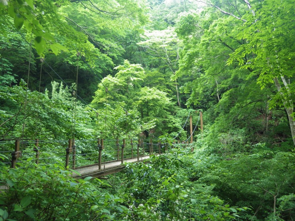 5 Hidden Nature Escapes Near Tokyo You Can Visit in One Day