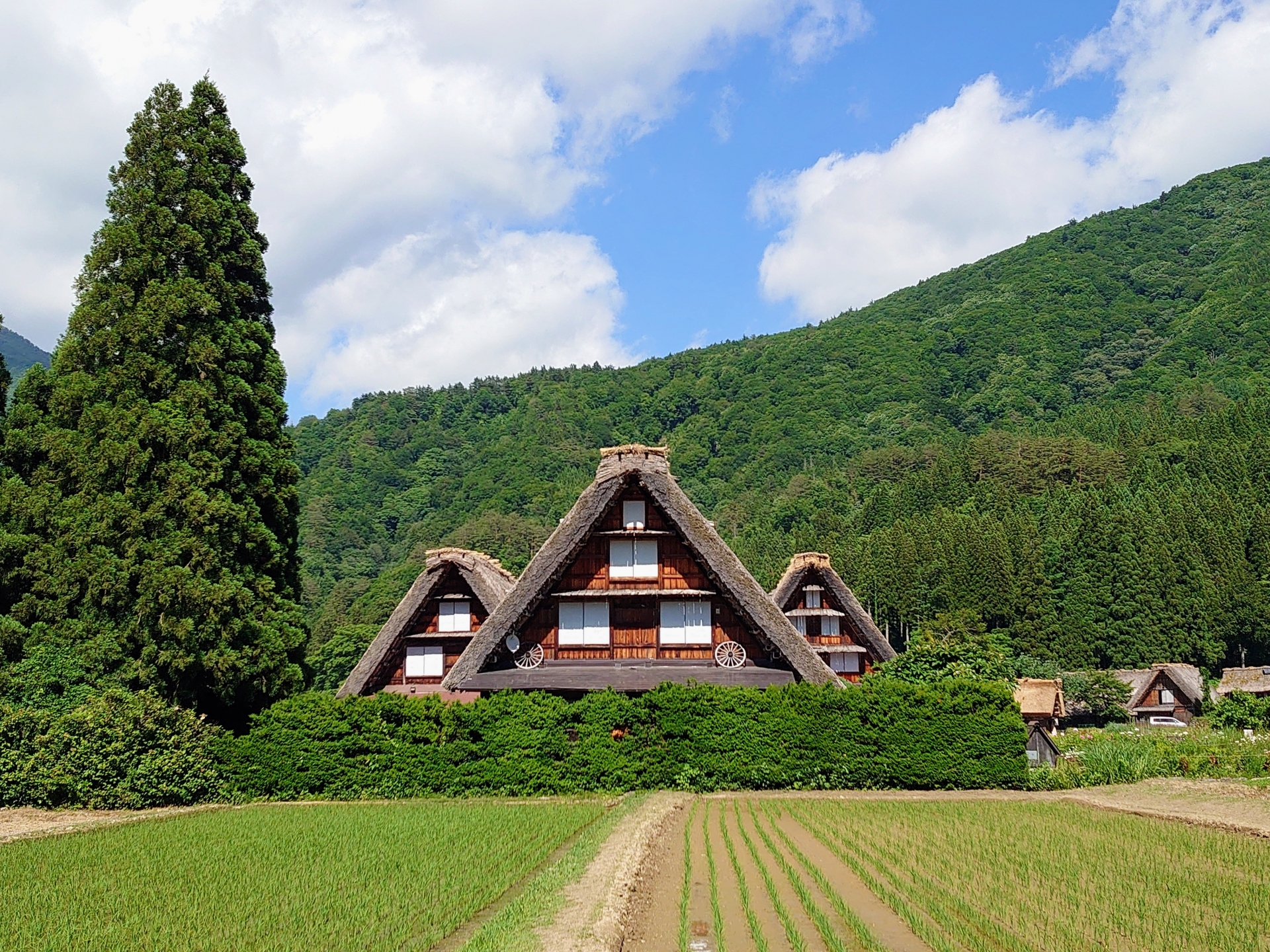 7 Traditional Japanese Villages Worth Visiting Beyond Kyoto 4 24297515 m