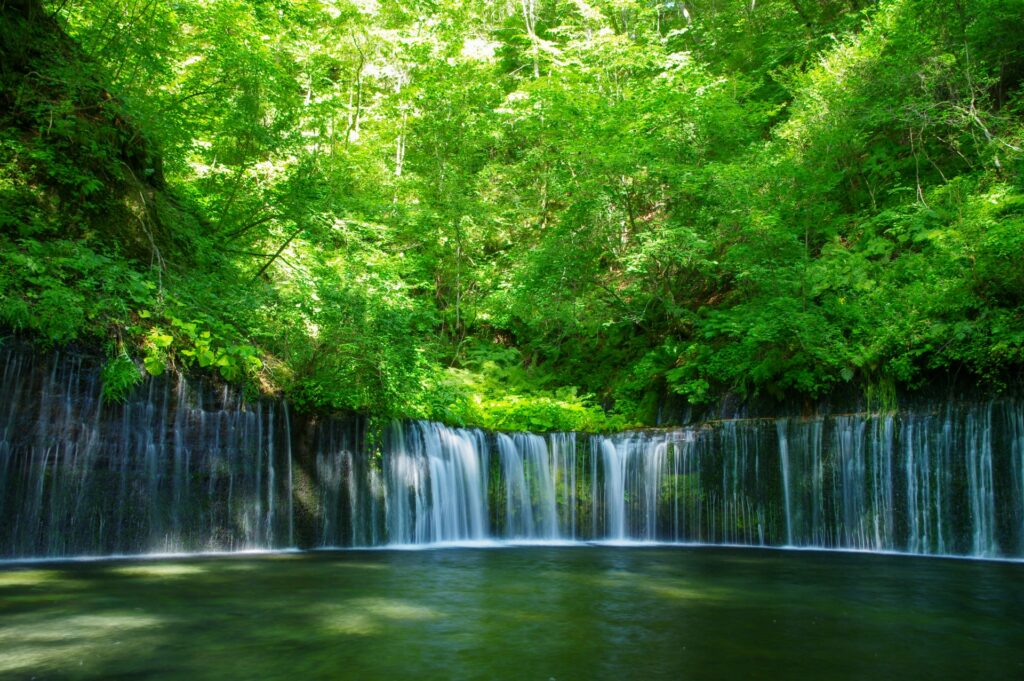 7 Stunning Waterfalls Near Tokyo Worth Visiting This Summer 2026