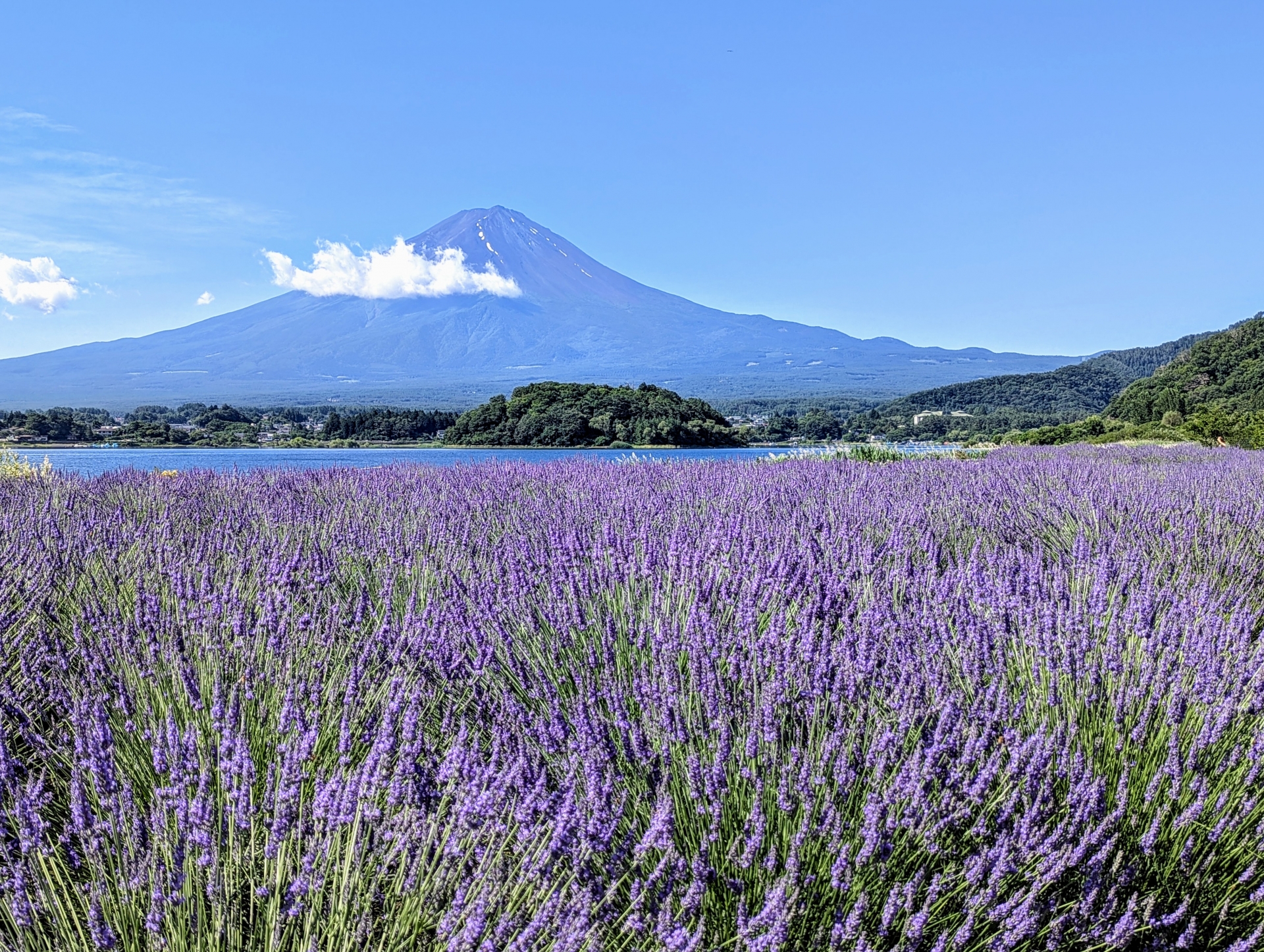 6 Amazing Mt. Fuji Viewpoints You Need to Visit in Japan 2026 5 32960835 m