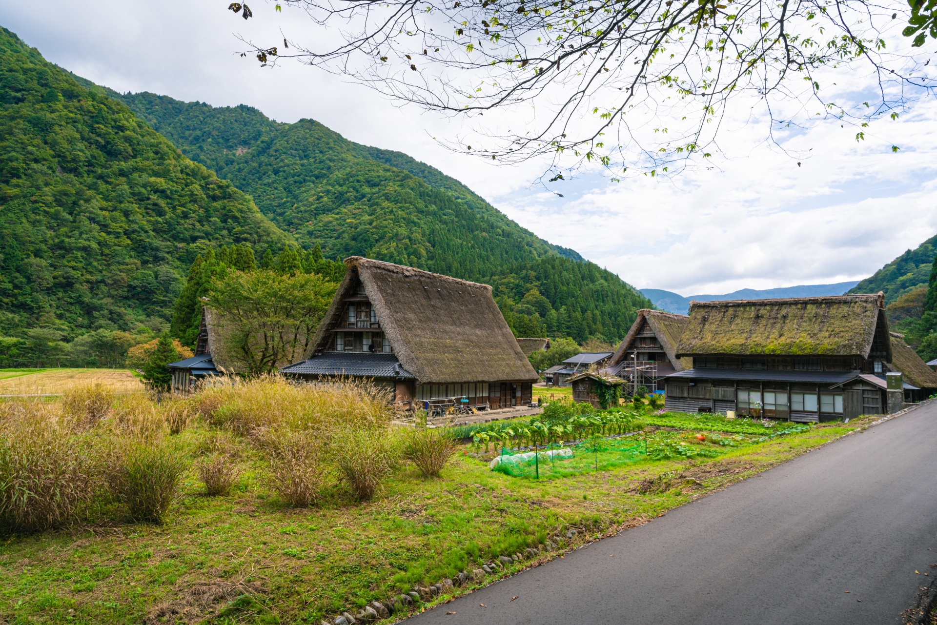 7 Traditional Japanese Villages Worth Visiting Beyond Kyoto 5 4289533 m