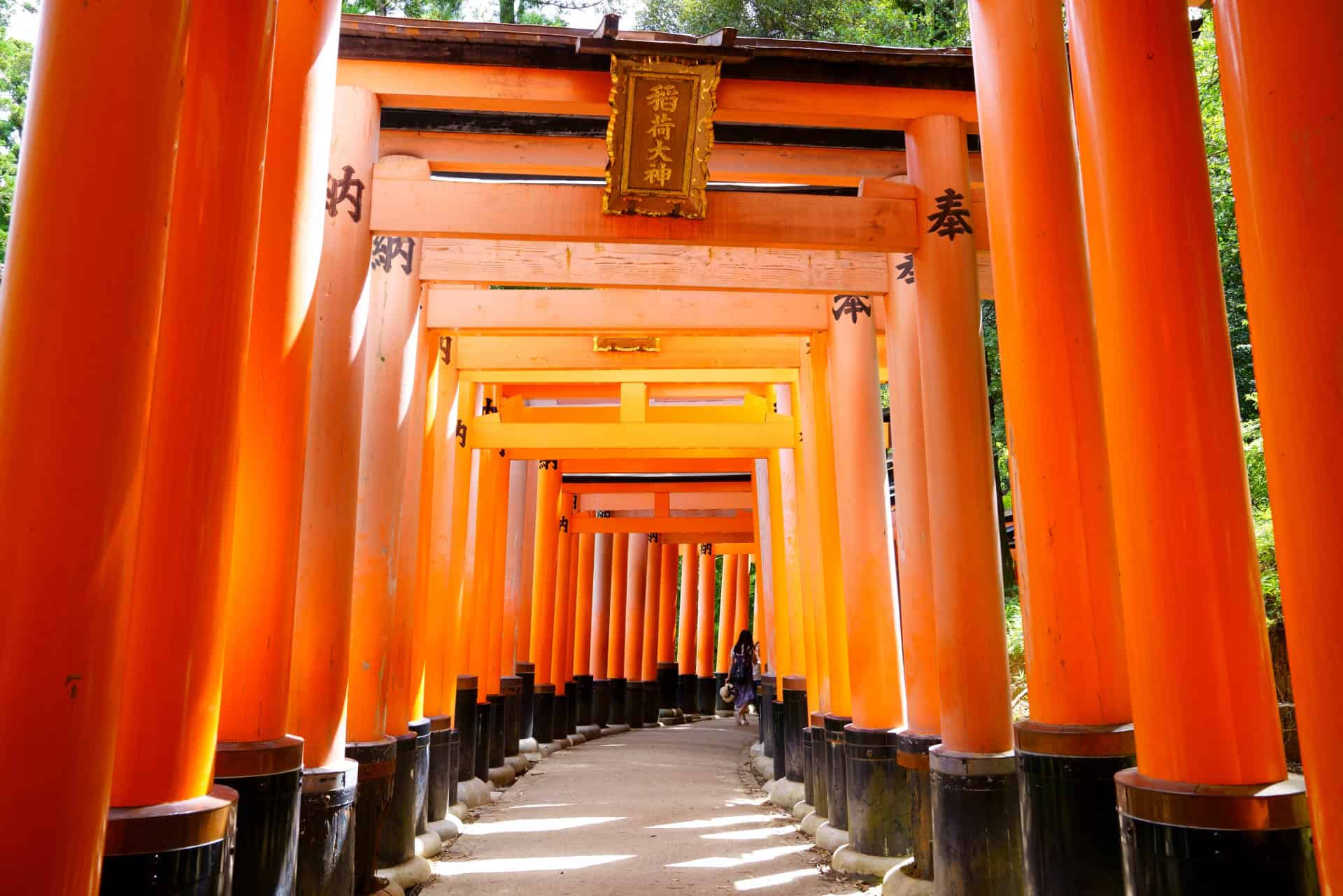 Arriving at Kansai Airport in the Morning? Places to Visit Before Checking Into Your Kyoto Hotel 6 22471406 m 2