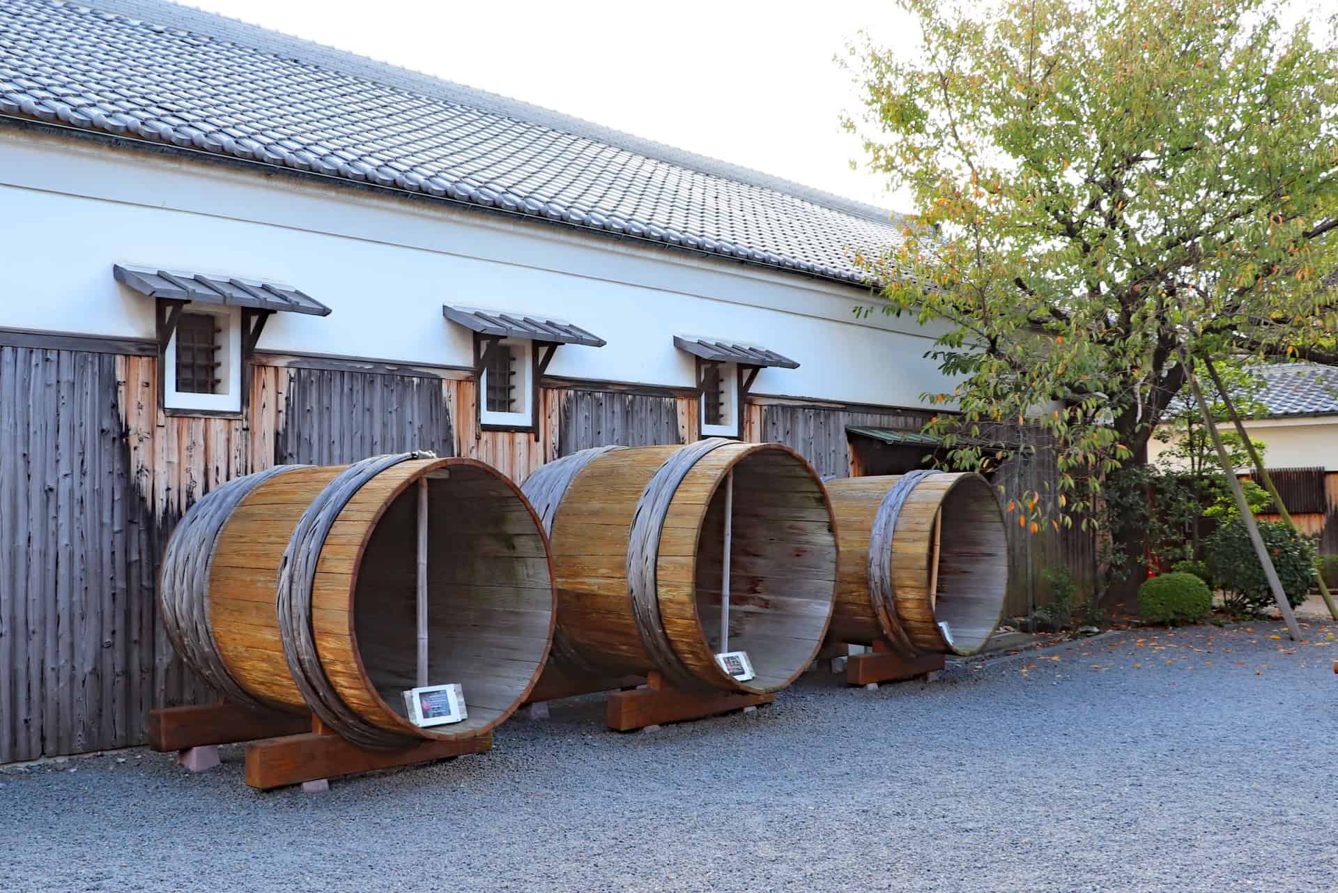 Arriving at Kansai Airport in the Morning? Places to Visit Before Checking Into Your Kyoto Hotel 7 2511028 m