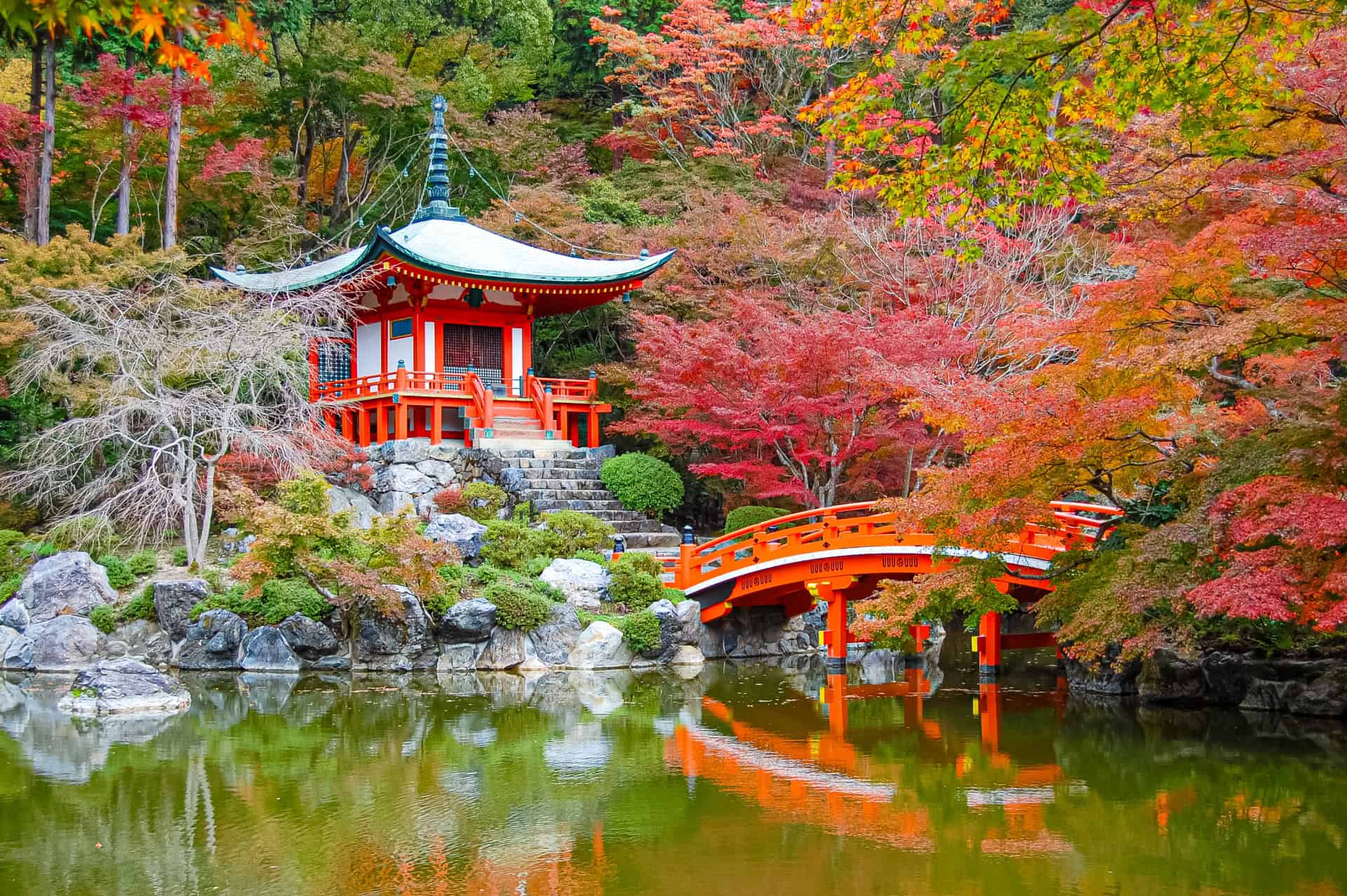 6 Amazing Stops Between Kansai Airport and Kyoto Worth Adding to Your Journey 7 31669361 m