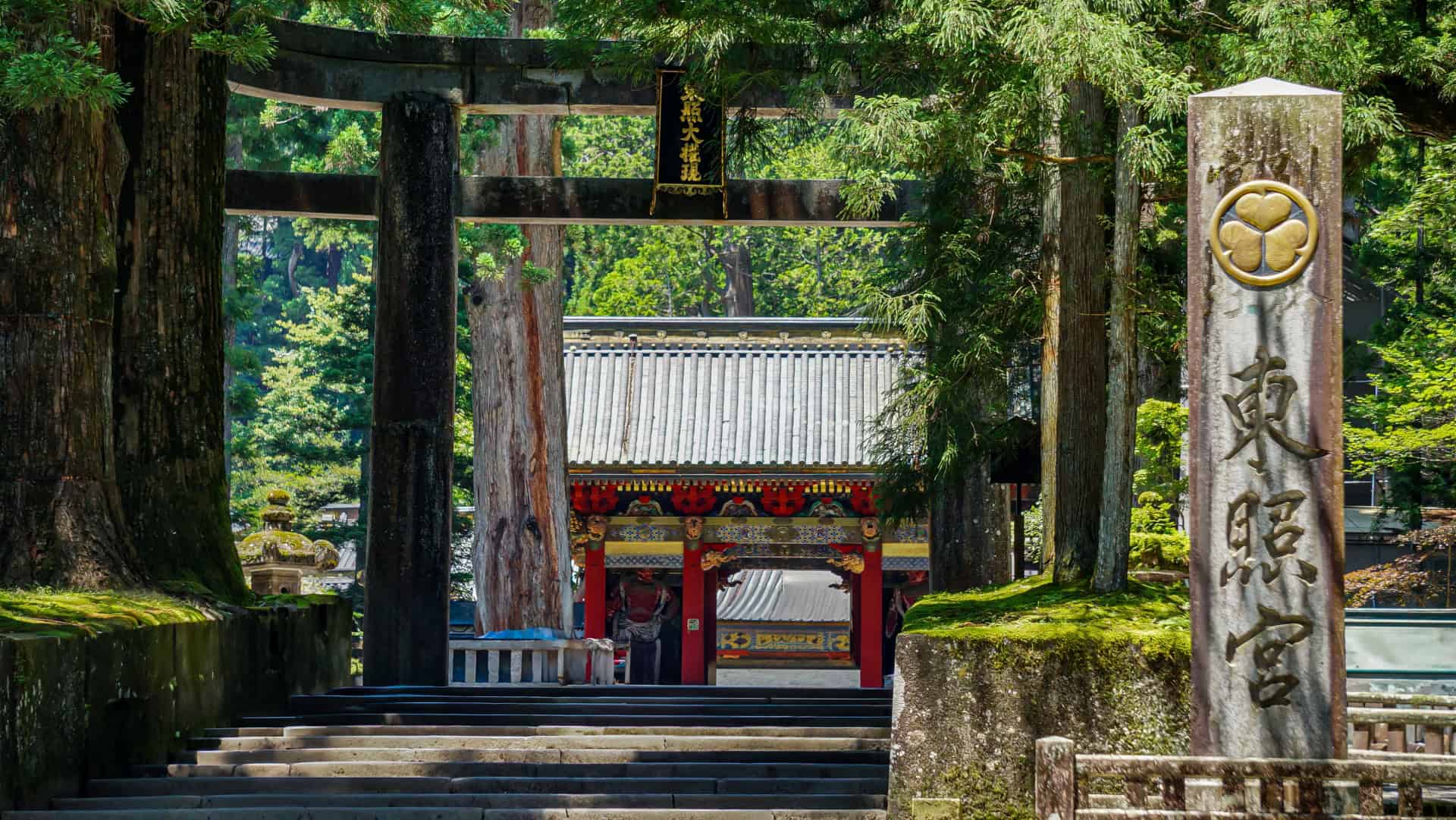 One-Day Nikko Tour: Discover Japan’s History, Nature and Culture 5 33006039 m