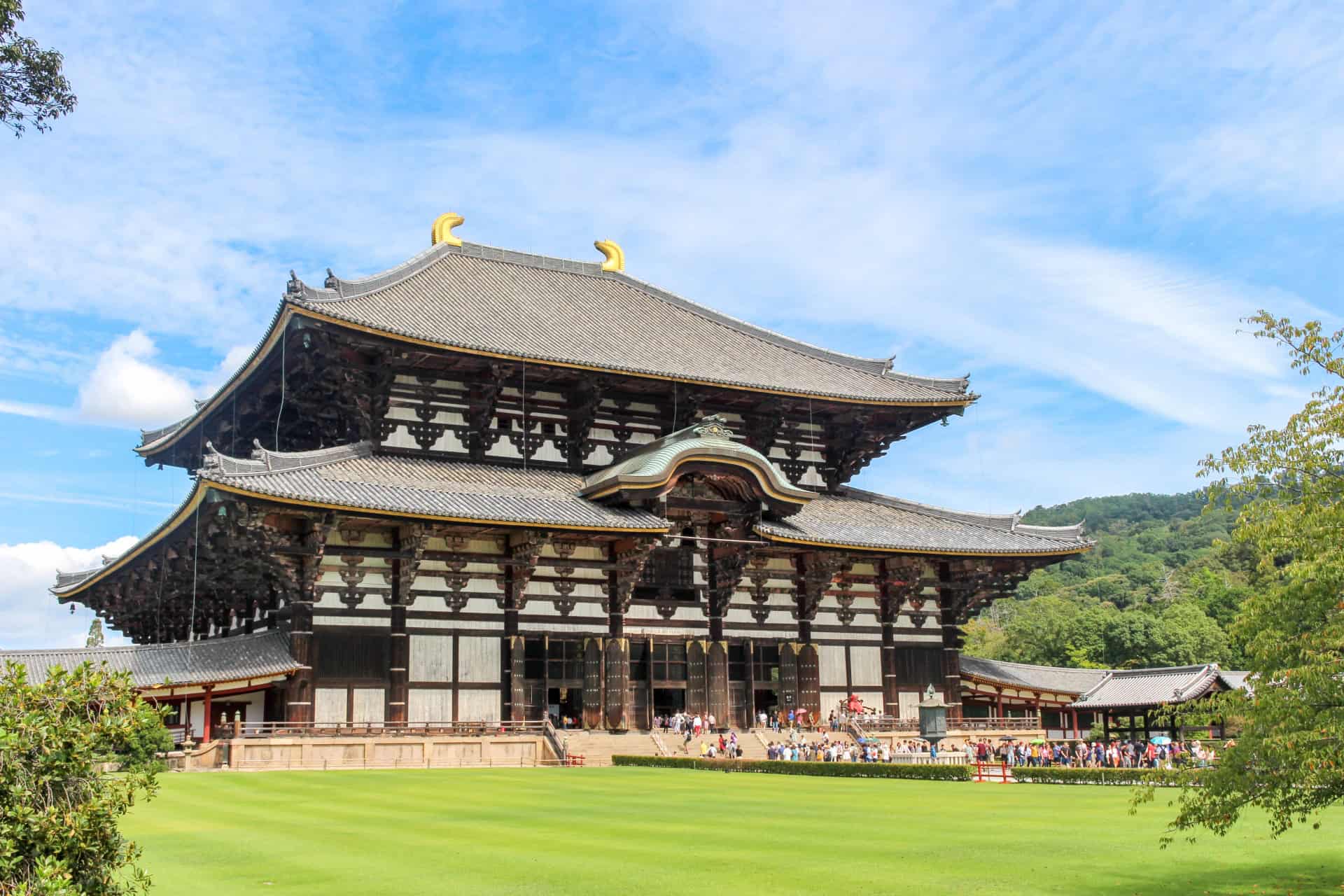 Nara Day Trip from Kyoto or Osaka: Deer, Temples & Traditional Japan 5 3764199 m 3