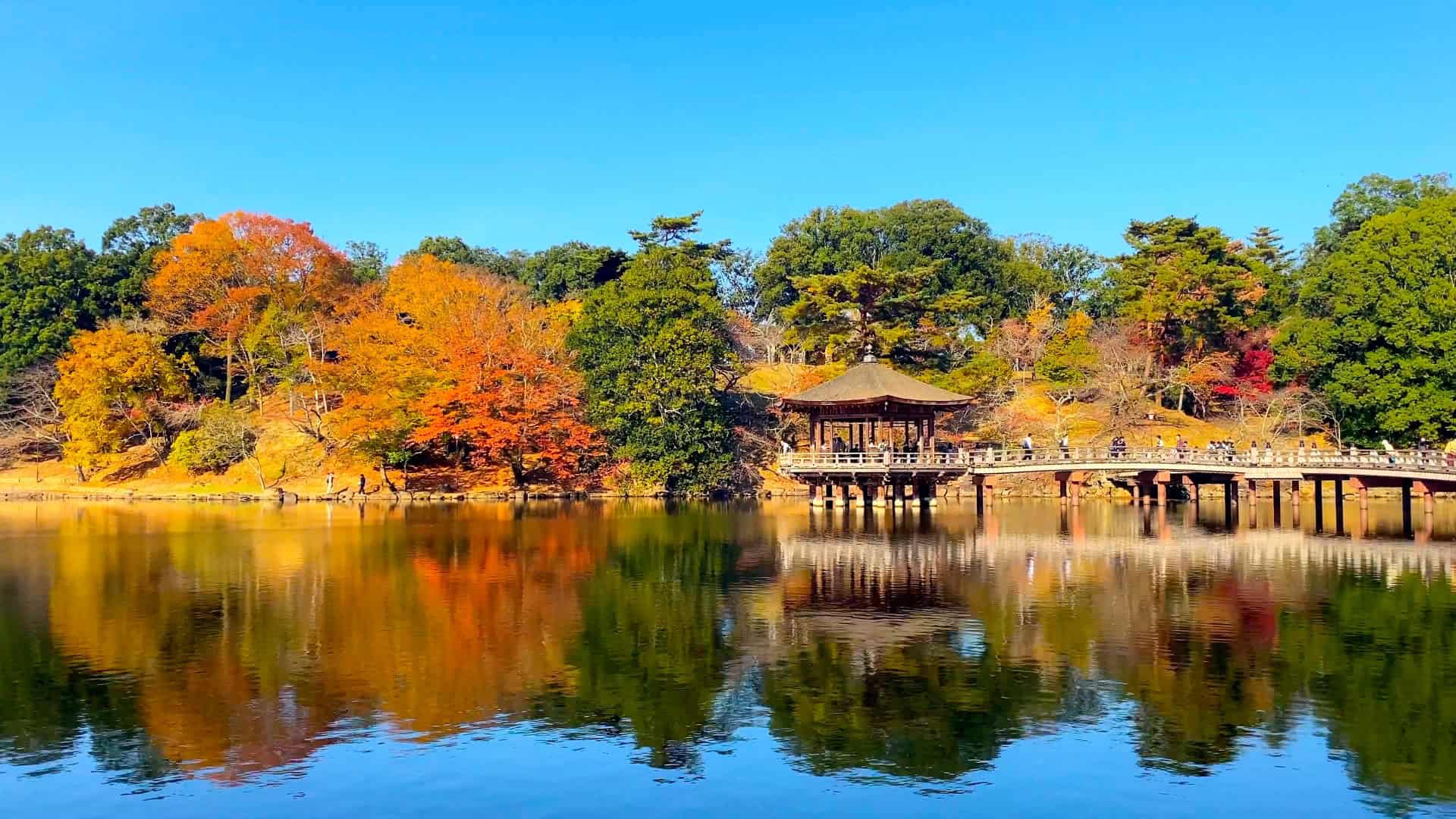 7 Beautiful Autumn Day Trips from Osaka & Kyoto 5 22746549 m 1