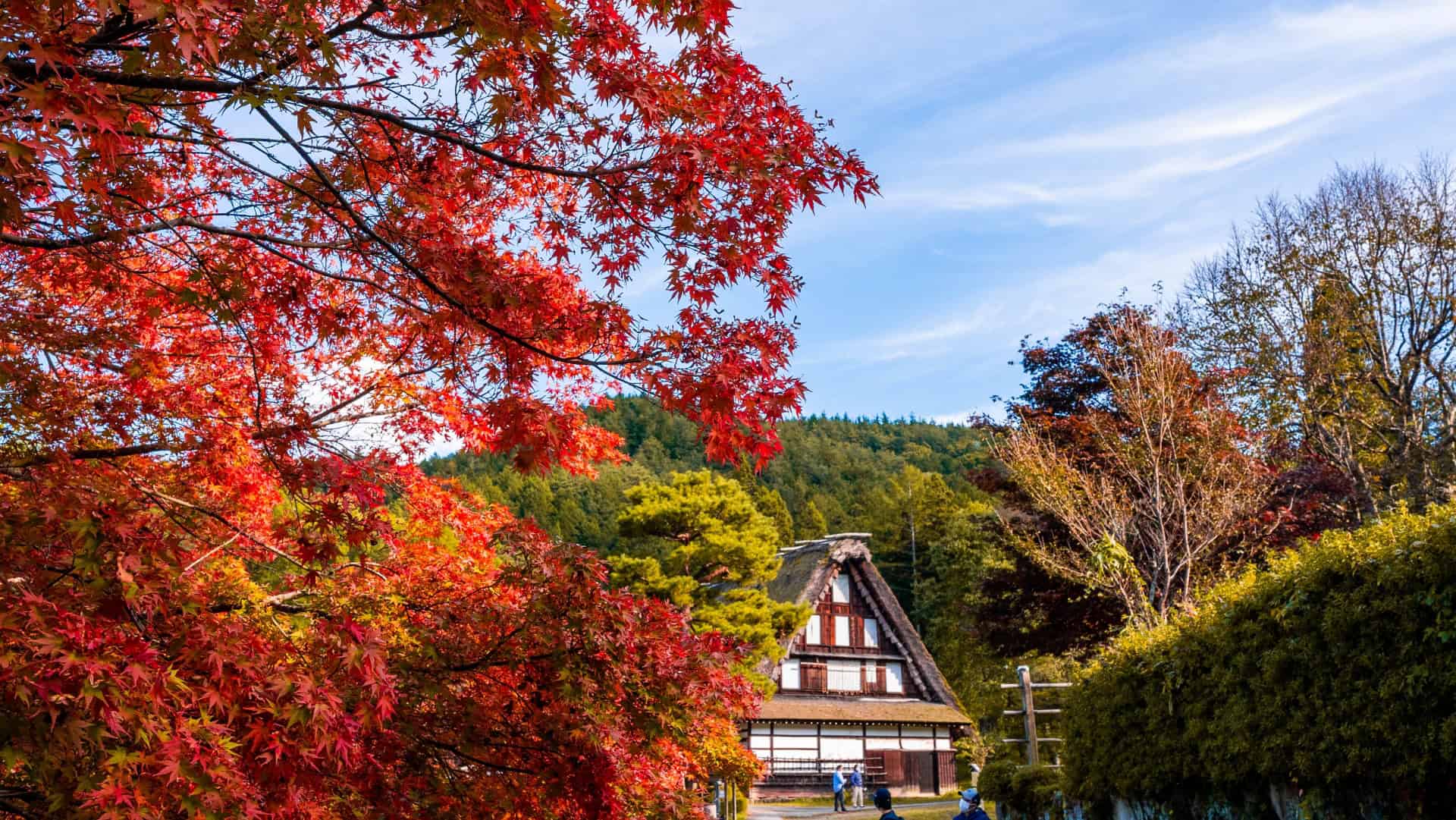 7 Traditional Japanese Experiences That Are Perfect for Autumn 10 22771671 m