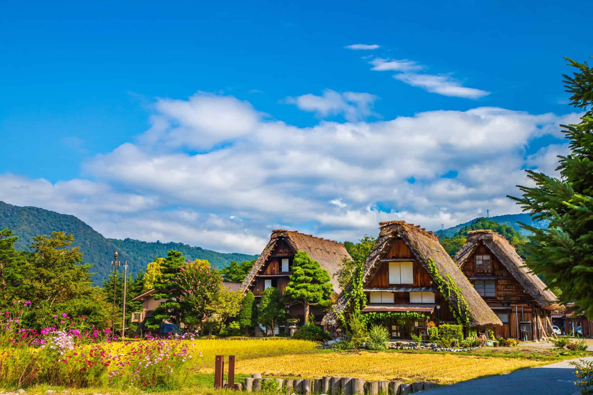7 Beautiful Japan Countryside Destinations for a Scenic Escape 4 27210496 m