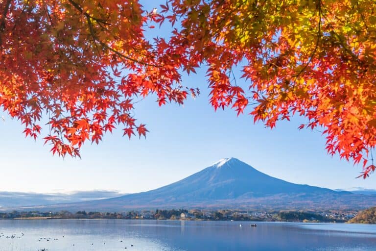 7 Beautiful Autumn Day Trips from Tokyo