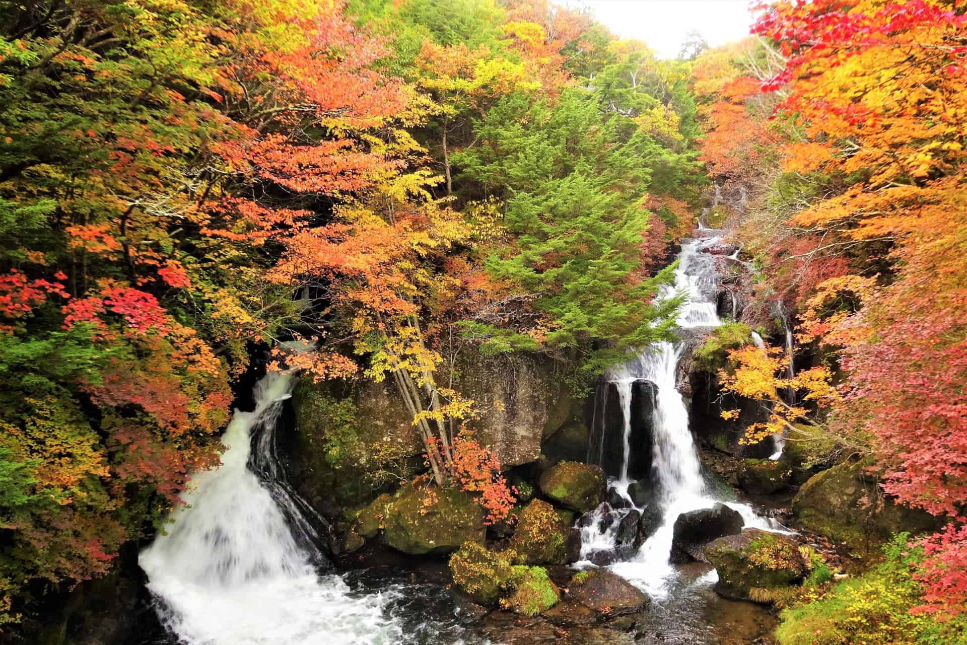 7 Beautiful Autumn Day Trips from Tokyo 11 4047881 m 1