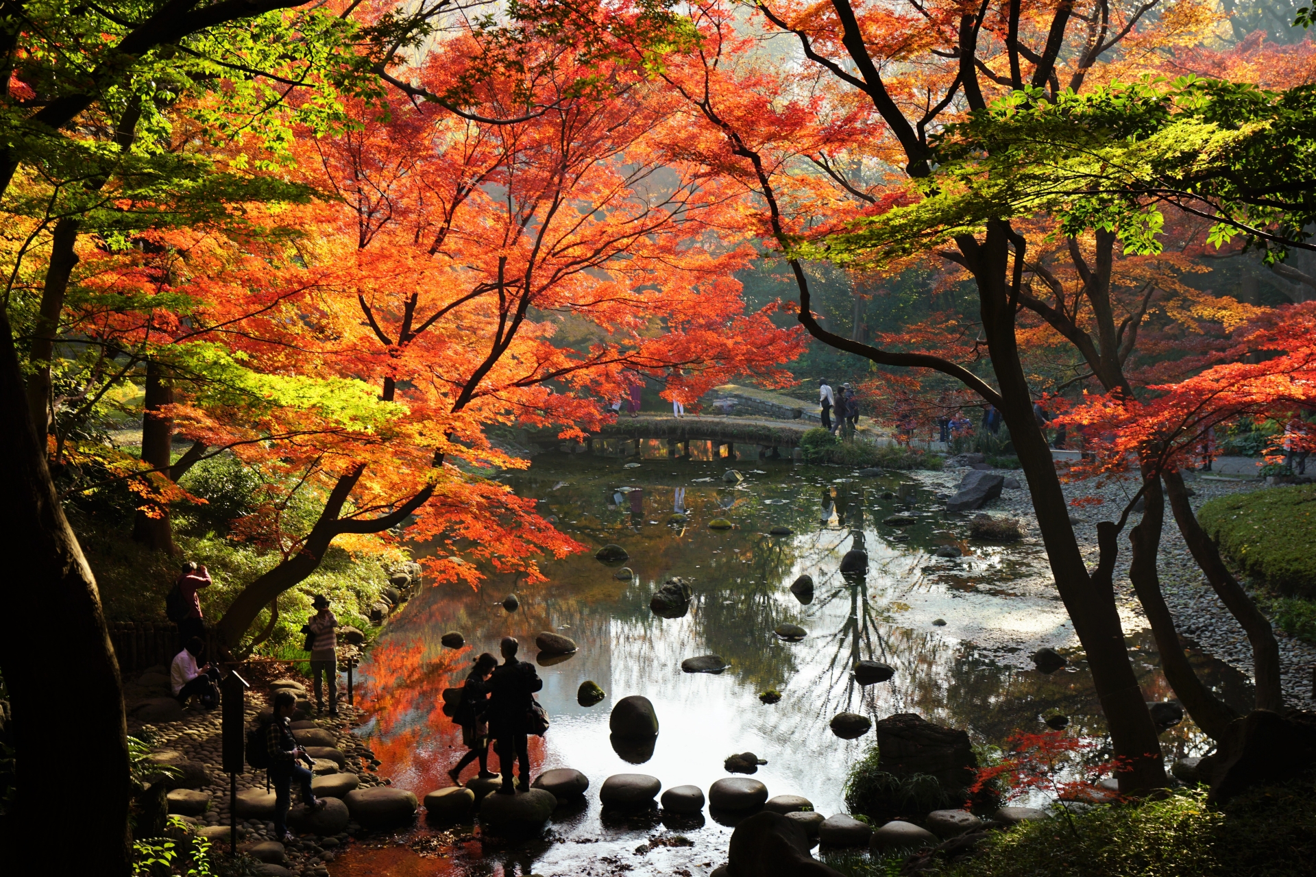 7 Beautiful Autumn Foliage Spots in Tokyo to Add to Your Tokyo Itinerary 11 1522567 m
