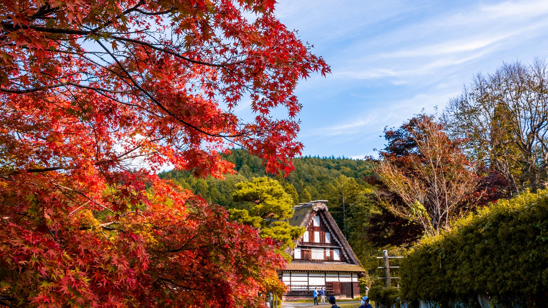 7 Japanese Countryside Towns to Visit This Autumn 11 22771671 m 1