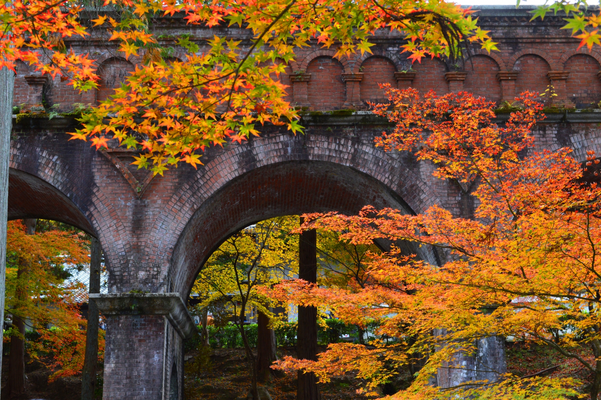 7 Best Places to See Autumn Colours in Kyoto 8 23086765 m