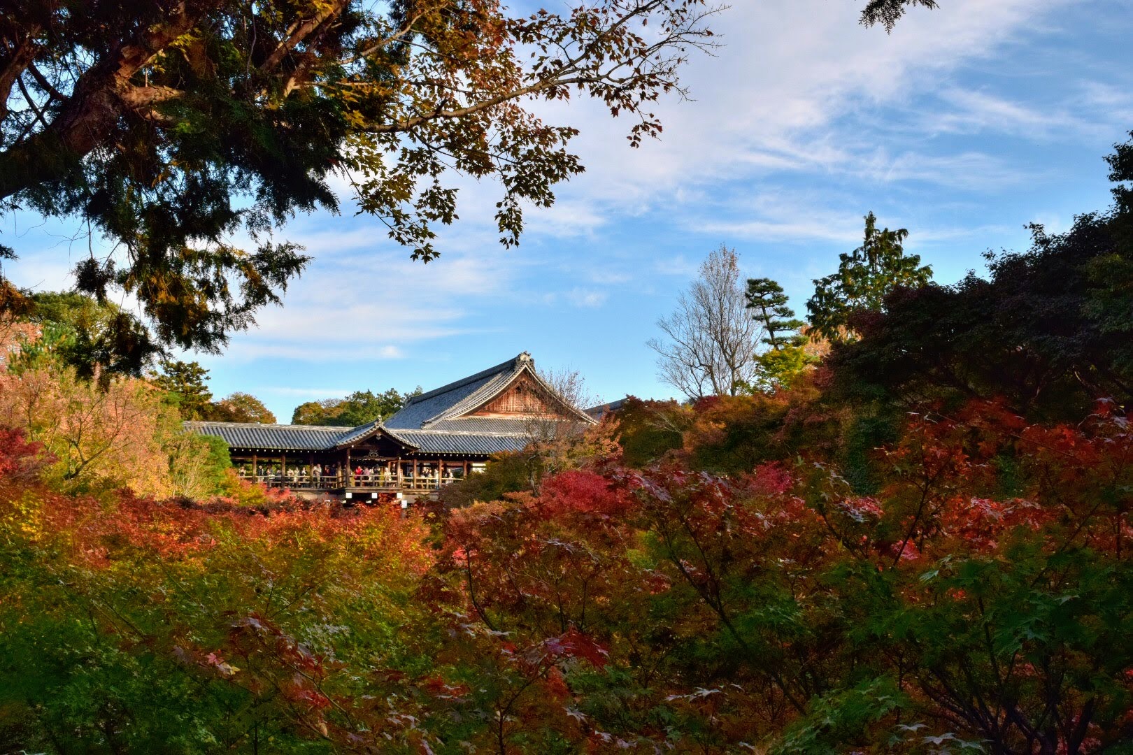7 Best Places to See Autumn Colours in Kyoto 6 24196175 m