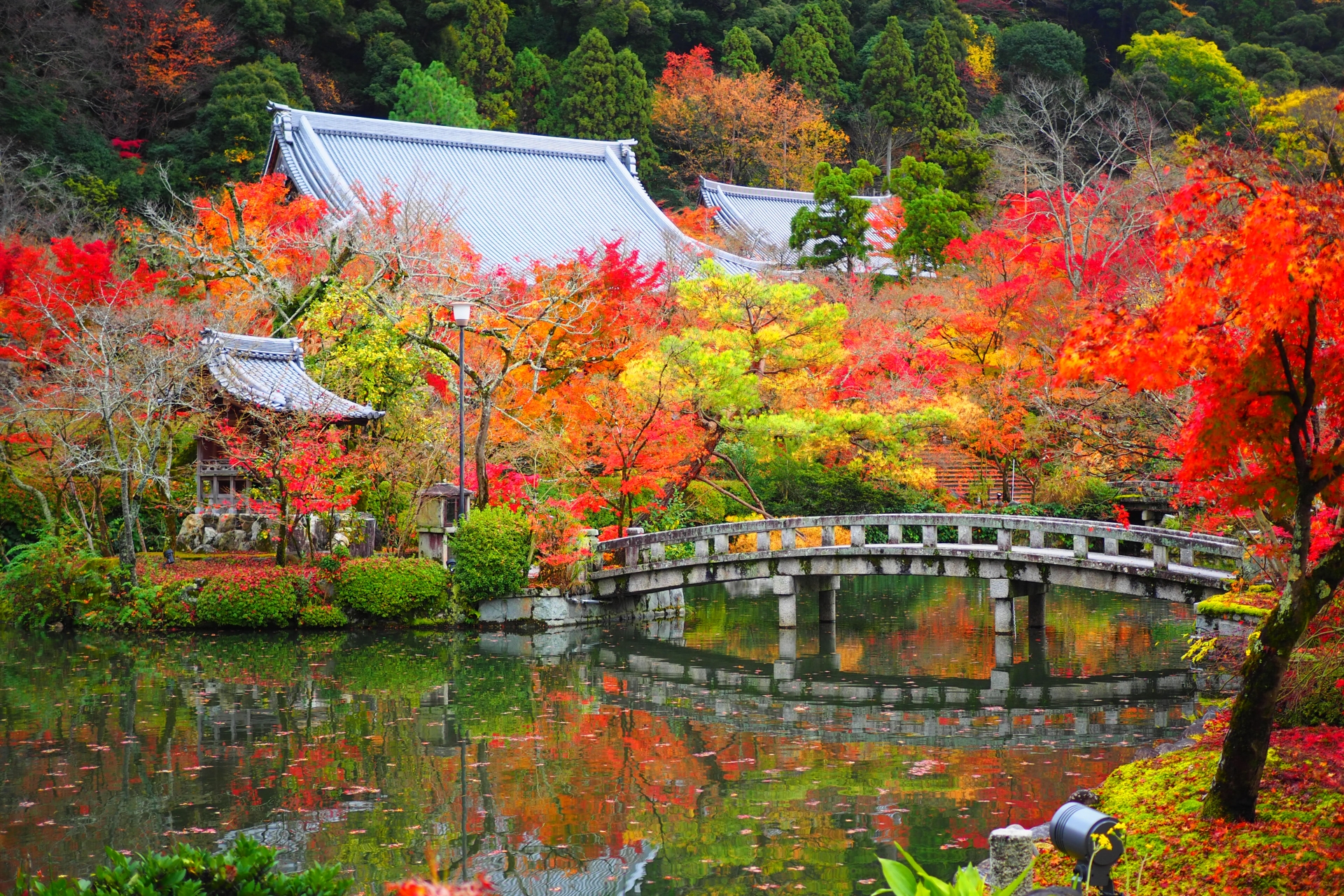7 Best Places to See Autumn Colours in Kyoto 3 25456622 m