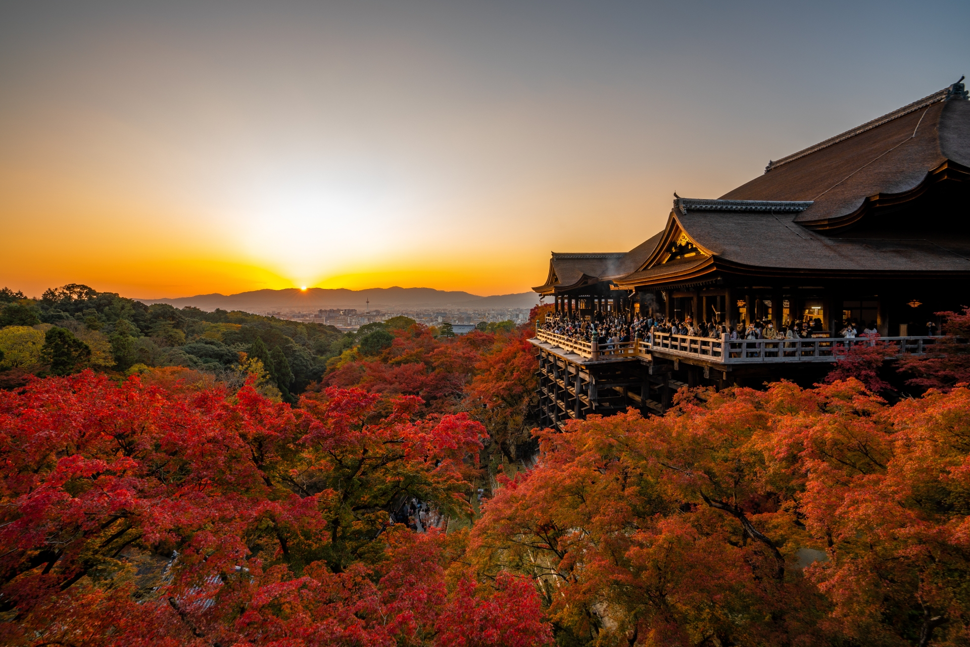 7 Best Places to See Autumn Colours in Kyoto 11 28205412 m 1